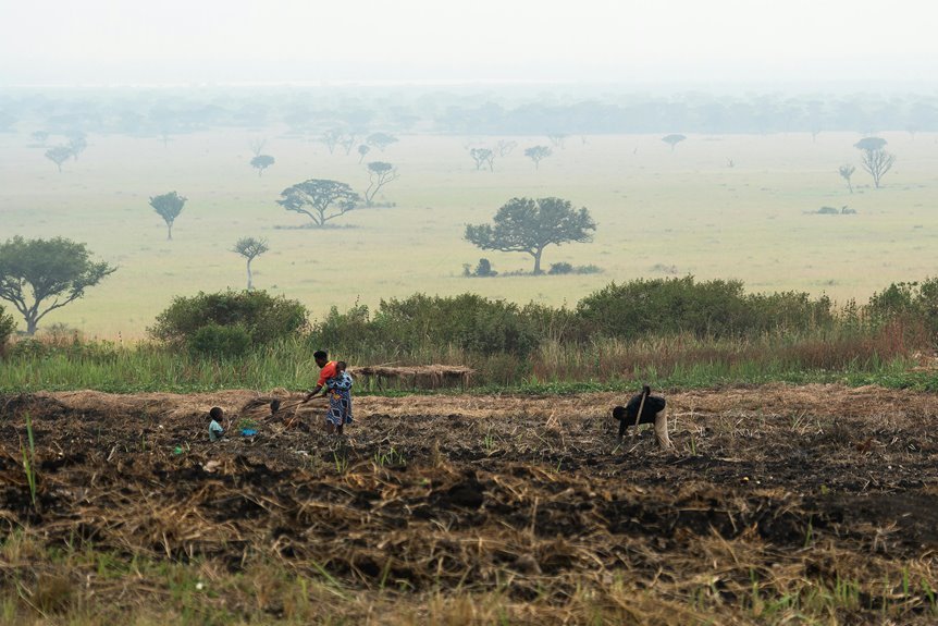 business growth assessment metrics